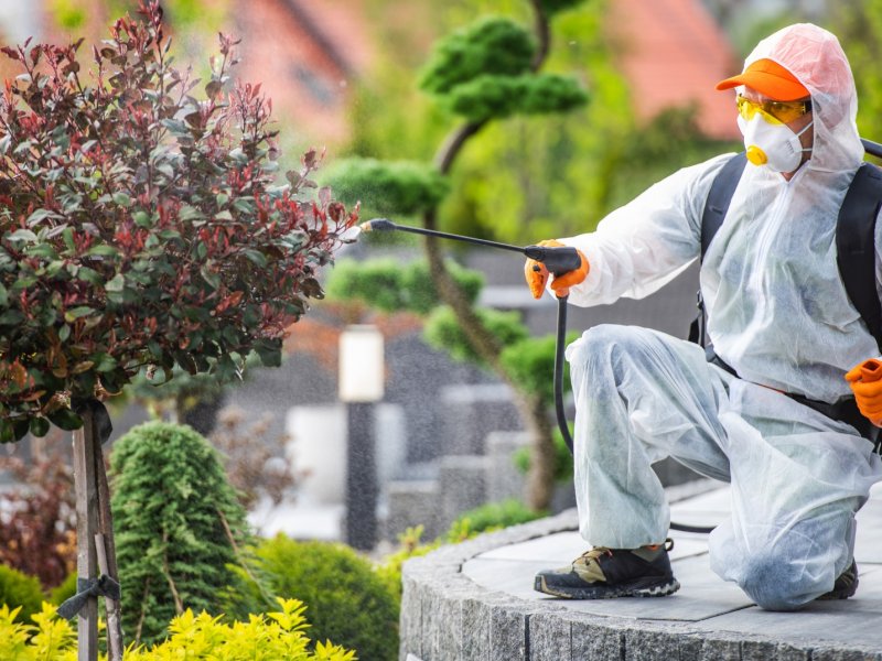 Şuhut Haşere İlaçlama